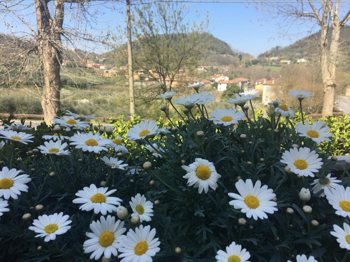 Galzignano Terme Belvedere Resort Ai Colli מראה חיצוני תמונה