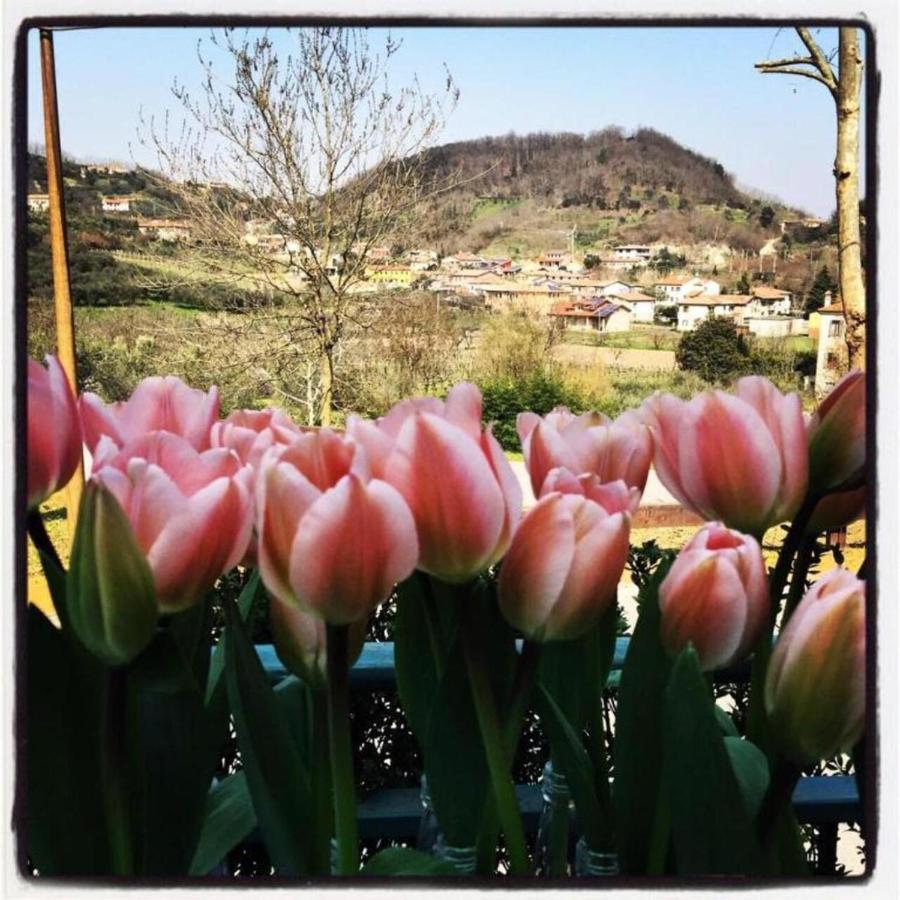 Galzignano Terme Belvedere Resort Ai Colli מראה חיצוני תמונה